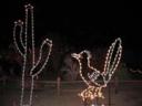 Wild Lights at the Living Desert Palm Desert, CA