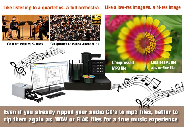 Loseless audio vs MP3